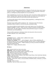 Le Parkour – judėjimo meno koncepcijos ir raidos apžvalga (1987-2006) 9 puslapis