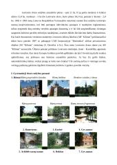 Lentvario buvusios dvaro sodybos paveldo išsaugojimo problemų sprendimas Europos Sąjungos (ES) plėtros sąlygomis 11 puslapis