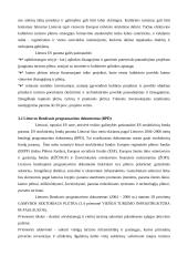 Lentvario buvusios dvaro sodybos paveldo išsaugojimo problemų sprendimas Europos Sąjungos (ES) plėtros sąlygomis 16 puslapis