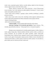 Lentvario buvusios dvaro sodybos paveldo išsaugojimo problemų sprendimas Europos Sąjungos (ES) plėtros sąlygomis 17 puslapis