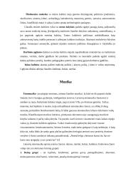 Liaudies pedagogikos reikšmė ugdymo procesui 4 puslapis