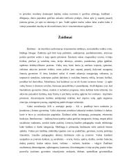 Liaudies pedagogikos reikšmė ugdymo procesui 8 puslapis