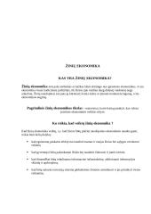 Lietuva kelyje žinių ekonomikos link 3 puslapis