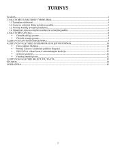 Lietuvių tautos ir valstybės susikūrimo aplinkybės 2 puslapis