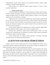 Lietuvių tautos ir valstybės susikūrimo aplinkybės 9 puslapis