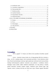 Lietuvių XX amžiaus literatūra 2 puslapis