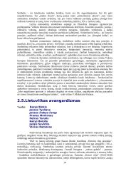 Lietuvių XX amžiaus literatūra 14 puslapis