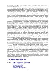 Lietuvių XX amžiaus literatūra 19 puslapis