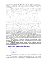 Lietuvių XX amžiaus literatūra 9 puslapis