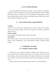 Lietuvos auginamų slyvų veislių vertinimas 3 puslapis