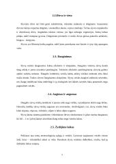 Lietuvos auginamų slyvų veislių vertinimas 4 puslapis