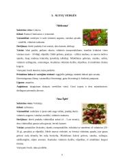 Lietuvos auginamų slyvų veislių vertinimas 5 puslapis