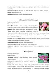 Lietuvos auginamų slyvų veislių vertinimas 6 puslapis