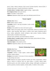 Lietuvos auginamų slyvų veislių vertinimas 8 puslapis