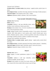 Lietuvos auginamų slyvų veislių vertinimas 9 puslapis