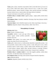 Lietuvos auginamų slyvų veislių vertinimas 10 puslapis