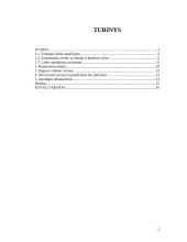 Lietuvos delegacijos į Rusiją vizito vadyba 2 puslapis