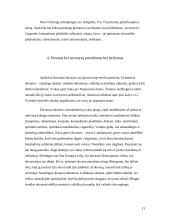 Lietuvos delegacijos į Rusiją vizito vadyba 13 puslapis