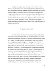 Lietuvos delegacijos į Rusiją vizito vadyba 14 puslapis