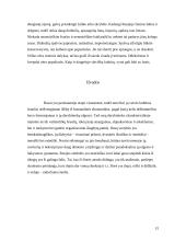 Lietuvos delegacijos į Rusiją vizito vadyba 15 puslapis