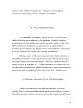 Lietuvos delegacijos į Rusiją vizito vadyba 8 puslapis