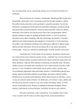 Lietuvos delegacijos į Rusiją vizito vadyba 9 puslapis