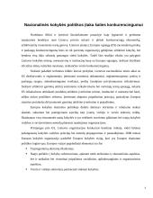 Lietuvos nacionalinė kokybės politika 6 puslapis