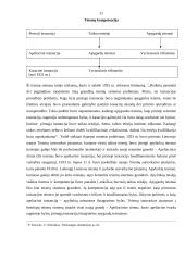 Lietuvos Respublikos (LR) teismų sistema ir raida 11 puslapis