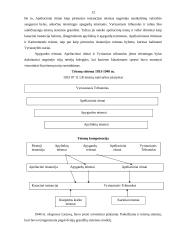 Lietuvos Respublikos (LR) teismų sistema ir raida 12 puslapis