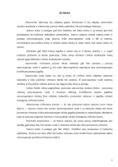 Lietuvos teisėsaugos sistema 2 puslapis