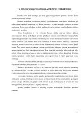 Lietuvos teisėsaugos sistema 10 puslapis