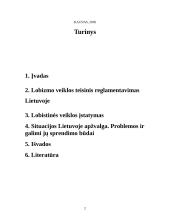 Lobizmo veikla 2 puslapis