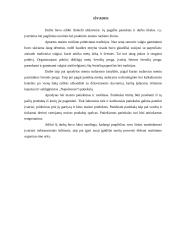 Maisto ruošimas pobūviams 12 puslapis
