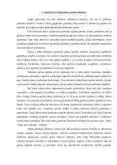 Maisto ruošimas pobūviams 10 puslapis