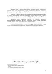 Maltos Ordinas kaip tarptautinės teisės subjektas 3 puslapis