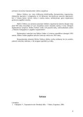 Maltos Ordinas kaip tarptautinės teisės subjektas 8 puslapis