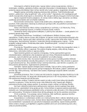 Mano pasirinktos šalies bendravimo ypatumai: Japonija 4 puslapis