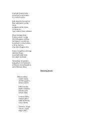 Marcelijus Martinaitis - jo gyvenimas bei kūryba 6 puslapis