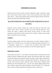 Margenis (coleus) ir perila (perilla). Jų augimas, priežiūros darbai, pritaikymas 3 puslapis