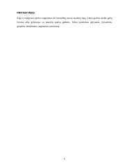 Margenis (coleus) ir perila (perilla). Jų augimas, priežiūros darbai, pritaikymas 6 puslapis