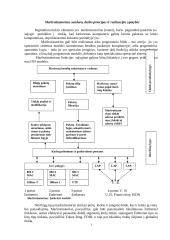 Maršrutizatoriai 2 puslapis
