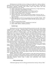 Maršrutizatoriai 3 puslapis