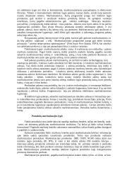 Maršrutizatoriai 4 puslapis