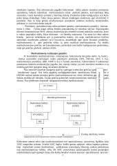 Maršrutizatoriai 5 puslapis