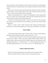 Kūrybinis darbas matematikai 14 puslapis