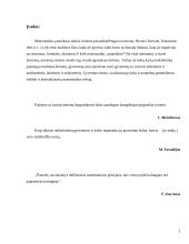 Kūrybinis darbas matematikai 3 puslapis