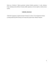 Kūrybinis darbas matematikai 8 puslapis