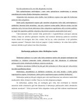 Materialinė atsakomybė 7 puslapis