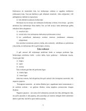 Materialinės atsakomybės sąlygos ir uždavinys 3 puslapis