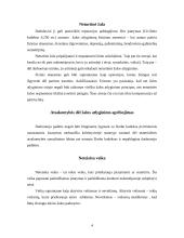 Materialinės atsakomybės sąlygos ir uždavinys 4 puslapis